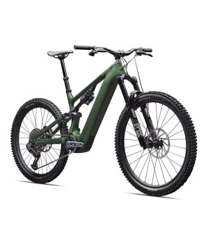 Cypress Green Metallic